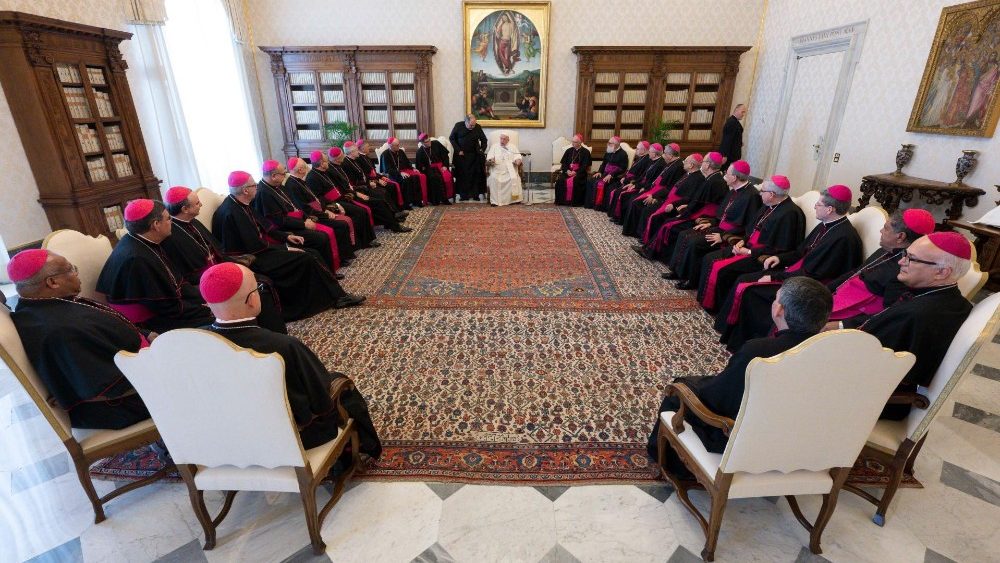 Bispos das províncias eclesiásticas de Botucatu, Campinas e Ribeirão Preto se reuniram com o Papa