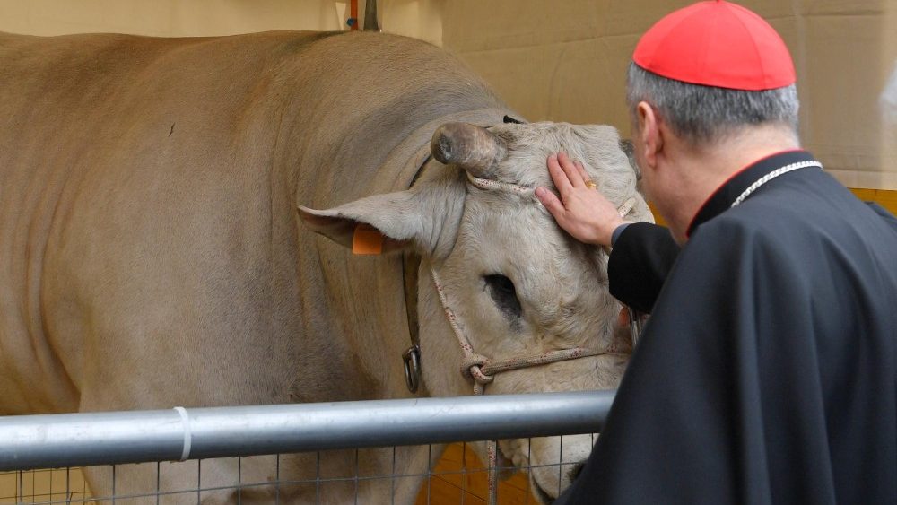 Bénédiction des animaux.
