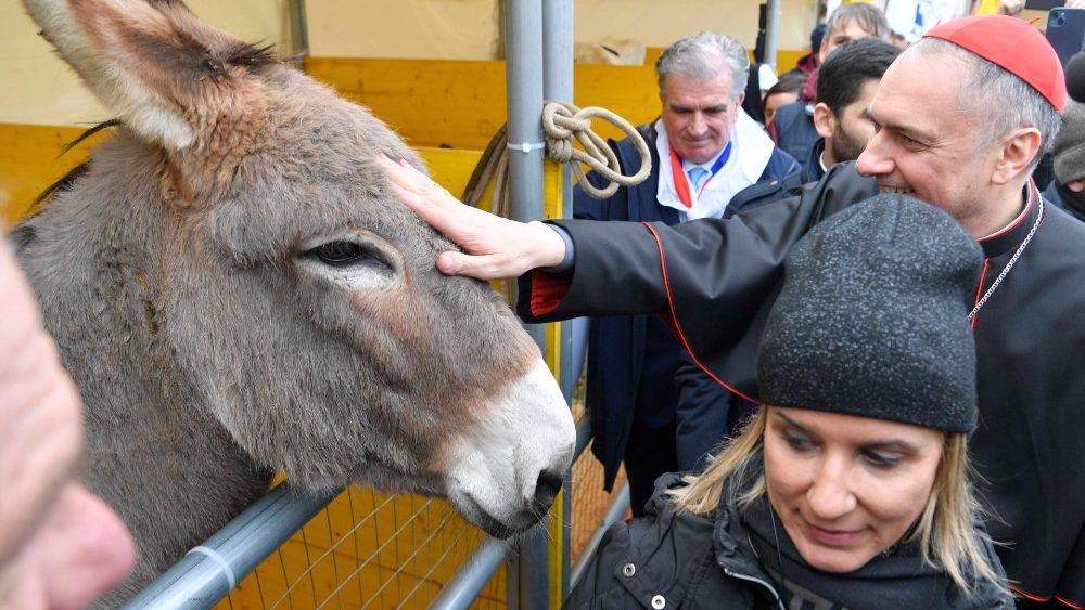 Bénédiction des animaux.