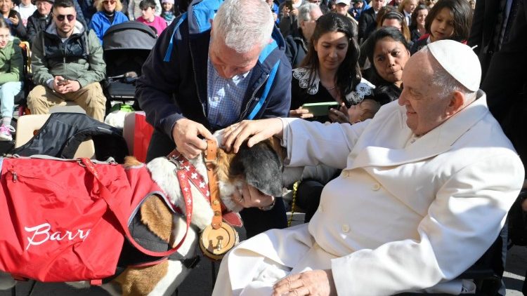 Der Papst und der Bernhardiner