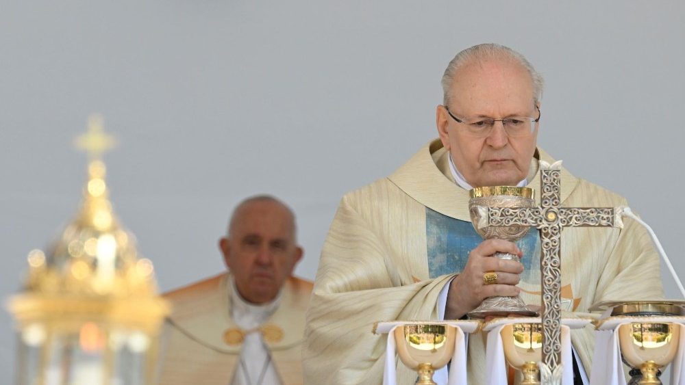 திருப்பலியைத்தொடர்ந்து வழிநடத்தும் கர்தினால் 