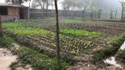 2017-11-29 casa dei bambini di strada (13).JPG