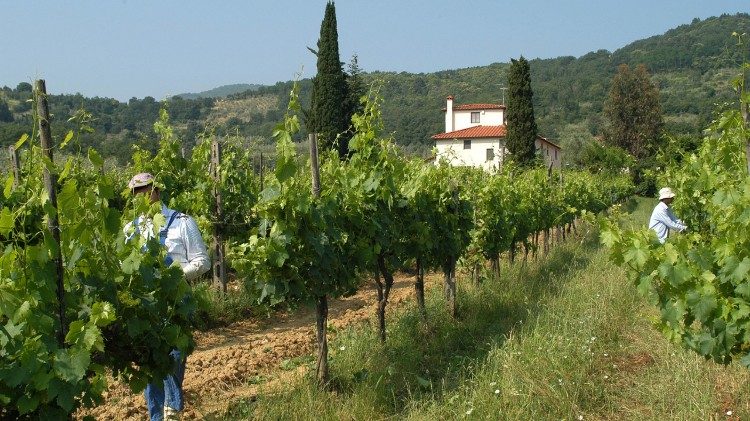 Cooperativa Loppiano