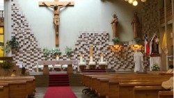 Collodi 14 cattedrale Temuco 130118aem.jpg