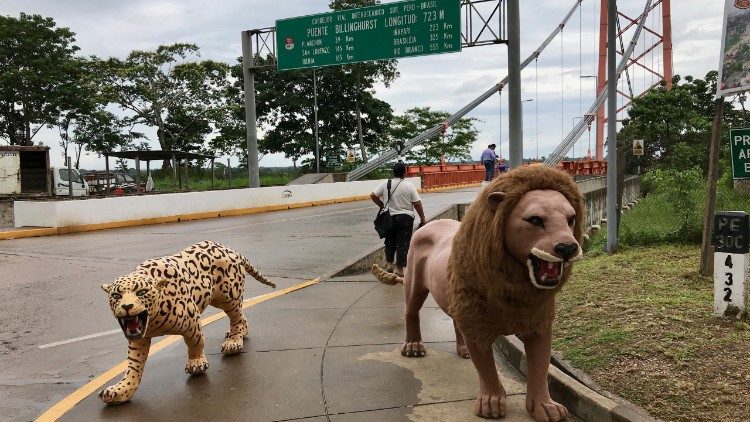 IMG_0222 animkali.jpg