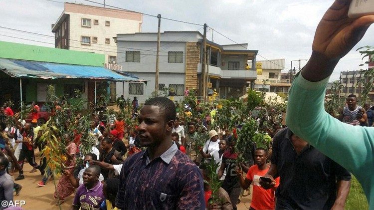 Kamerun: Demonstration in Bamenda