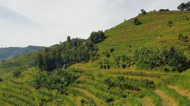 Mukura, au Rwanda.