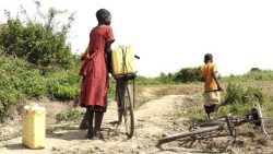 africa-2665100_960_720 ok.jpg