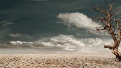 desert-279862_960_720 ok.jpg