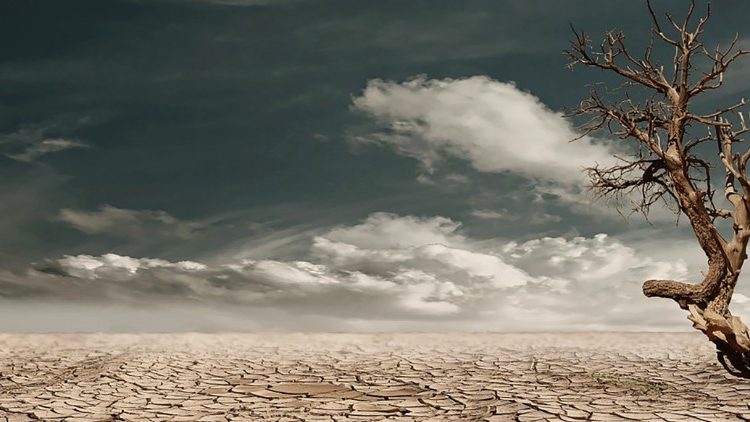 La Journée mondiale de lutte contre la désertification est célébrée chaque année le 17 juin par les Nations-Unies. Ce fléau affecte la vie de deux milliards de personnes dans le monde. 