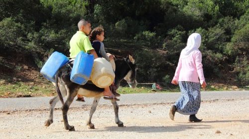 Pope on World Water Day: ‘Do not waste or pollute’ 