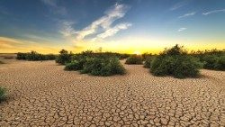 drought-1675729_960_720 ok.jpg
