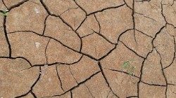 drought-1690330_960_720 ok.jpg