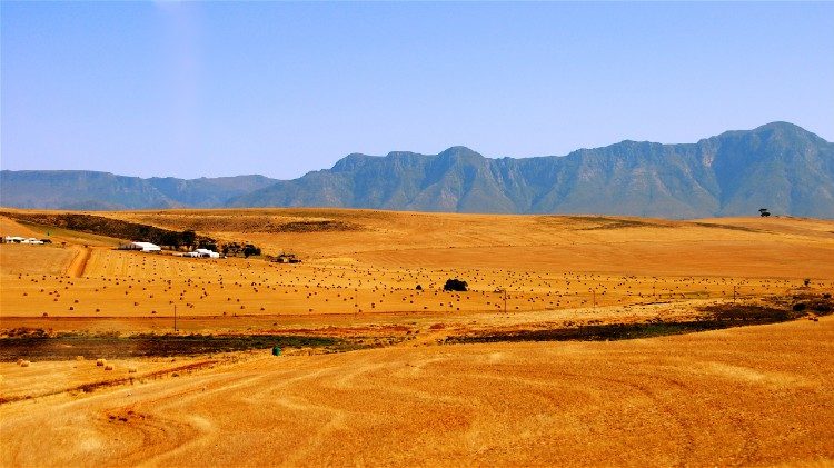 Farmlands in rural South Africa 