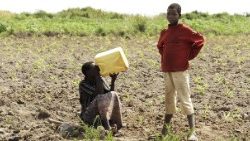 village-2665014_960_720 OKOKOK.jpg