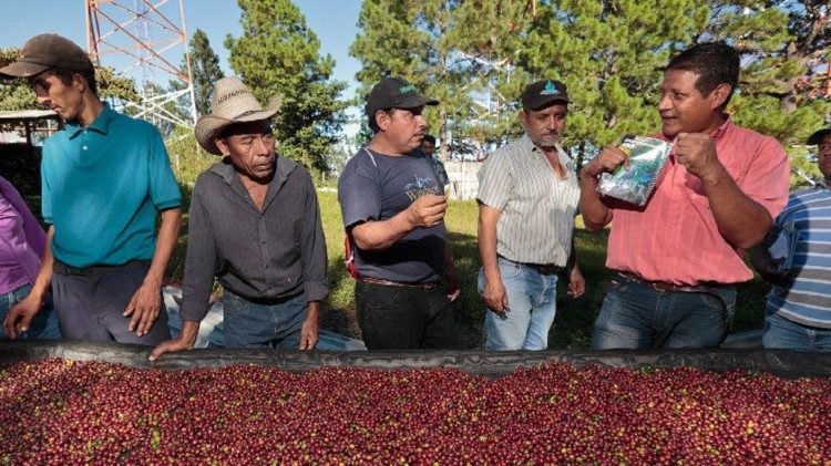 CRS Fair Trade Cooperative in El Salvador