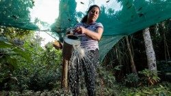 CRS Fare Trade cooperative Oaxaca Mexico.jpg