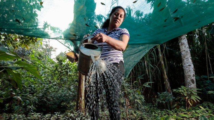 Watykan: „Green and blue” – nowa inicjatywa ekologiczna