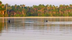 Puerto Maldonado 4.jpg