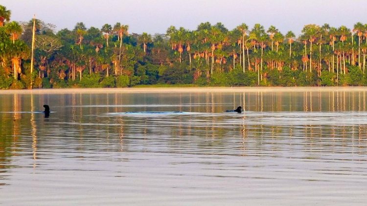 Puerto Maldonado, no Peru, receberá visita do Papa e de 2 mil índios da Bolívia e do Brasil