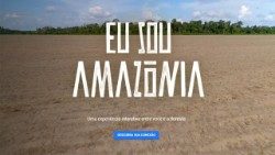 amazonia16AEM.jpg