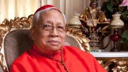 18102017_105532_cardinal  Vidal.jpg