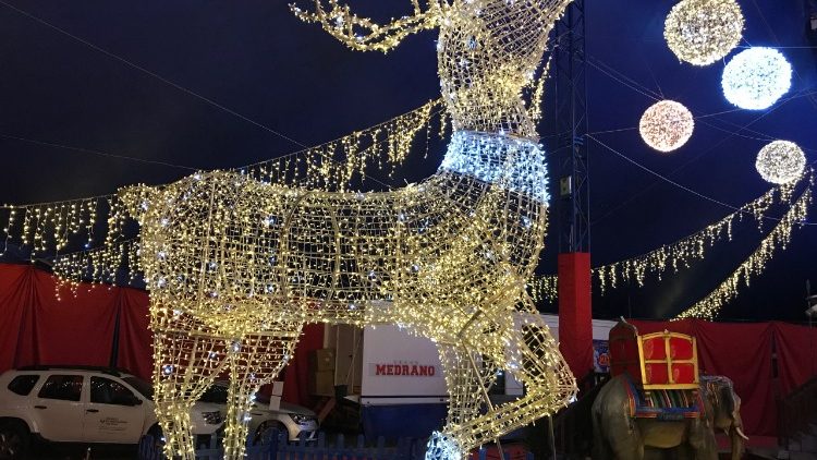 2018-01-10-circo medrano-1.JPG