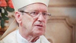 Dom Celio de Oliveira Goulart, Bispo de Sao Joao del ReiAEM.jpg