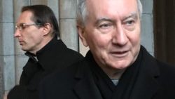Card. Parolin Premio Hamel est.jpeg