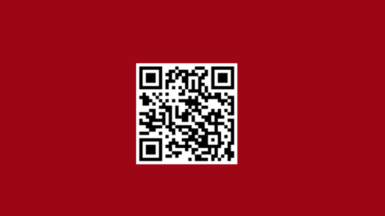 qr_code_vaticanaudio.png