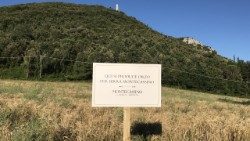 montecassino 2 (2).JPG