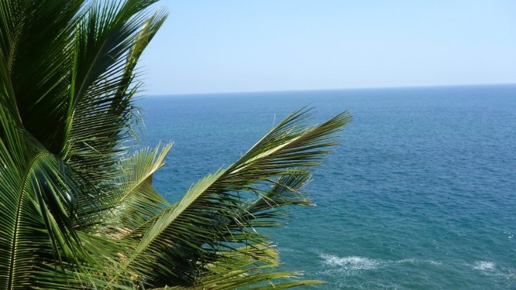 A Universidade Antonianum promove a criação de uma rede internacional para a ecologia integral