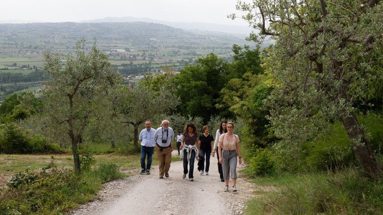 Una passeggiata tra gli oliveti di Spoleto
