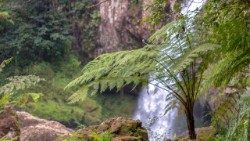 forest-of-fog-3389504_1920 ok.jpg