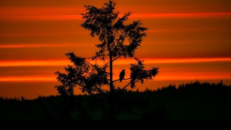 Ілюстрацыйнае фота