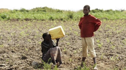 Laudato si’: salvare la Casa comune e il futuro della vita