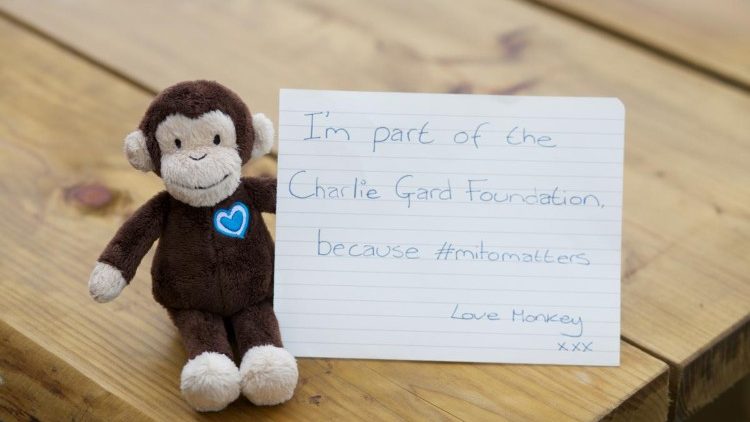 The Charlie Gard Foundation