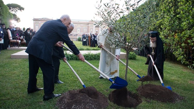 Les participants à la rencontre du 8 juin 2014 plantant un arbre dans les Jardins du Vatican.
