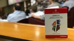 Conferenza Laudato si in Vaticano.JPG
