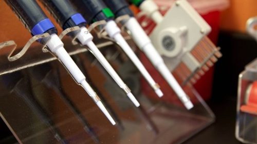 Bioéthique: les évêques de France appellent les catholiques à s'engager