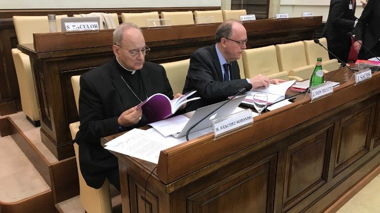 Casina Pio IV Mons Sorondo.JPG