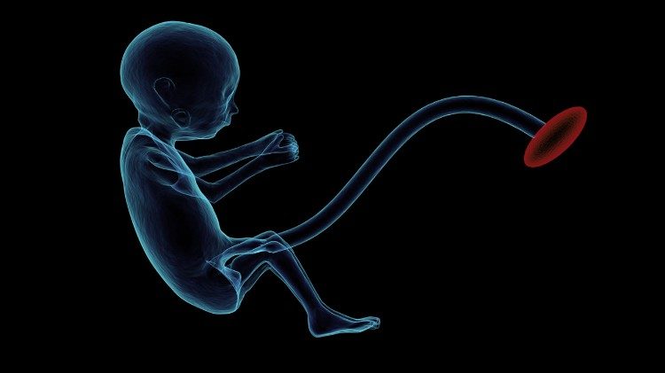 Sacredness of human life from conception to natural death.