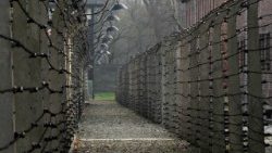 auschwitz-1066283_1920.jpg