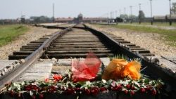 auschwitz-birkenau-540526.jpg