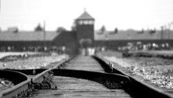 birkenau-402324 (1).jpg