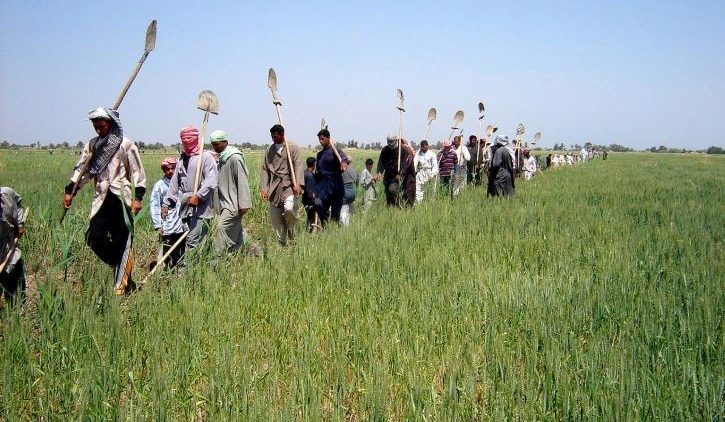 Fundação trabalha em prol da América Latina
