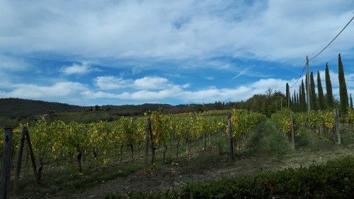 Unser Sonntag: Frucht bringen