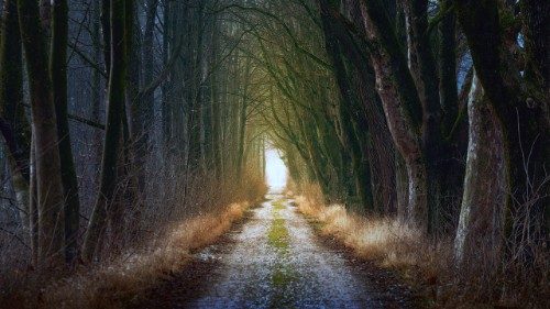 In memoria dei Giusti dell'Umanità