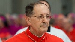 02829_22022014.okkkk stella.jpg