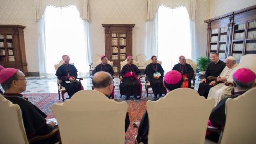 Skandinaviens Bischöfe beim Papst 